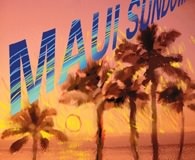 palms2