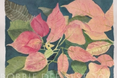 poinsettiaWM
