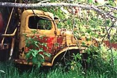rust6