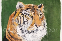 tigerWM